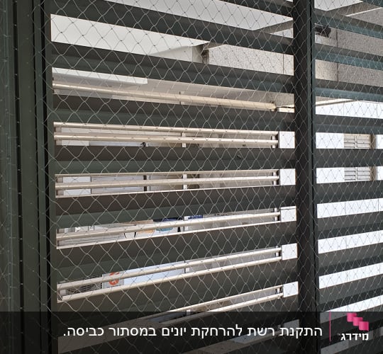 רשת מתכת על תריסים למניעת כניסת יונים